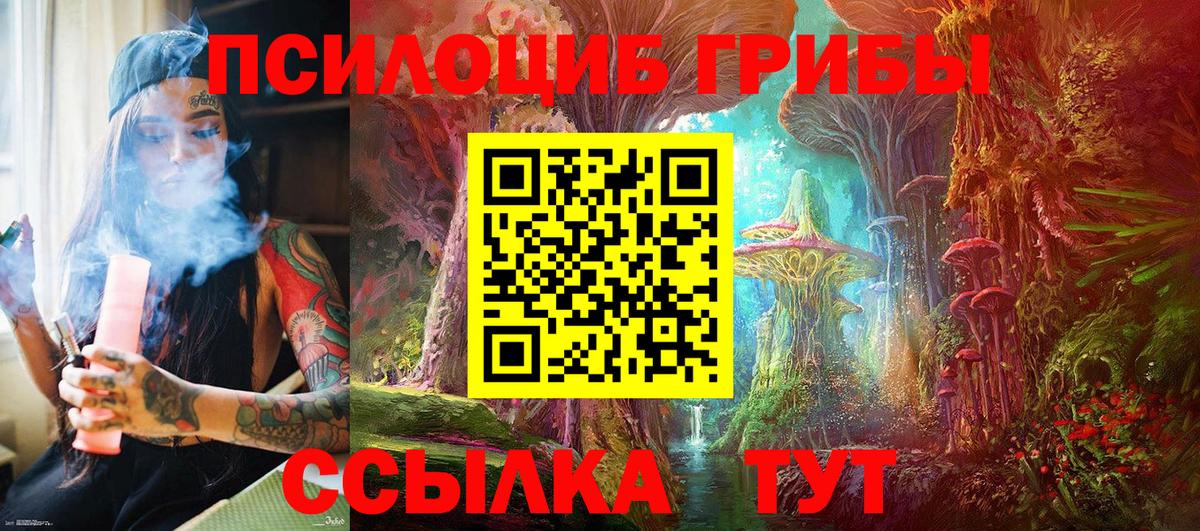 Галлюциногенные грибы GOLDEN TEACHER  Вход с VPN  купить   Вологда 