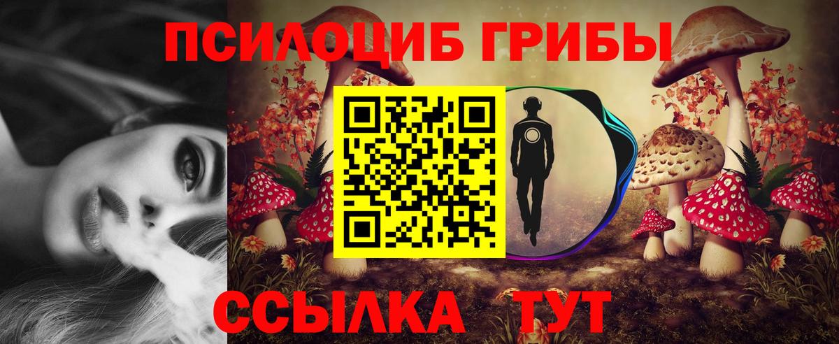 Галлюциногенные грибы MAGIC MUSHROOMS Вологда